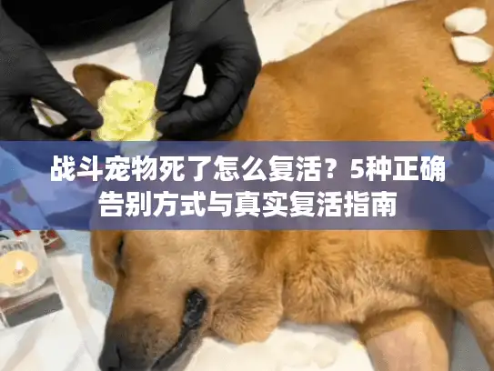 战斗宠物死了怎么复活？5种正确告别方式与真实复活指南