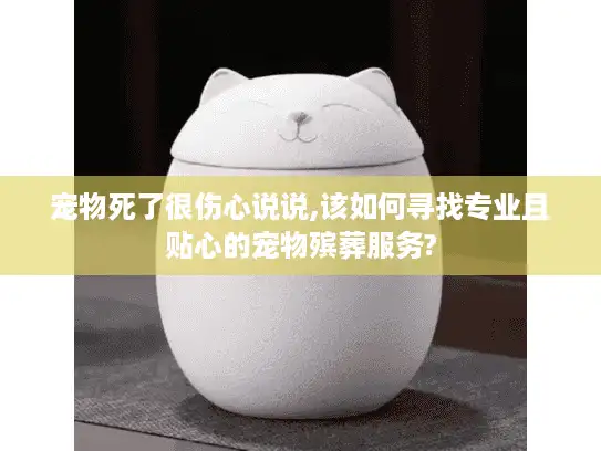宠物死了很伤心说说,该如何寻找专业且贴心的宠物殡葬服务?