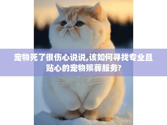 宠物死了很伤心说说,该如何寻找专业且贴心的宠物殡葬服务?
