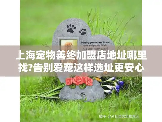 上海宠物善终加盟店地址哪里找?告别爱宠这样选址更安心