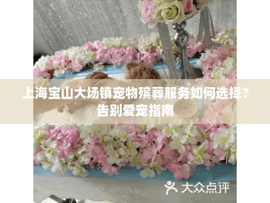 上海宝山大场镇宠物殡葬服务如何选择？告别爱宠指南