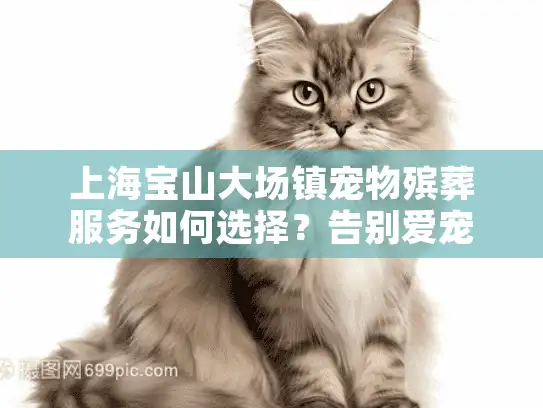 上海宝山大场镇宠物殡葬服务如何选择？告别爱宠指南