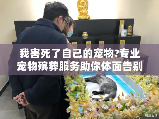 我害死了自己的宠物?专业宠物殡葬服务助你体面告别