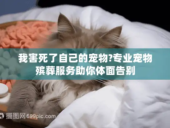 我害死了自己的宠物?专业宠物殡葬服务助你体面告别