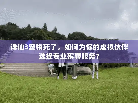 诛仙3宠物死了，如何为你的虚拟伙伴选择专业殡葬服务？
