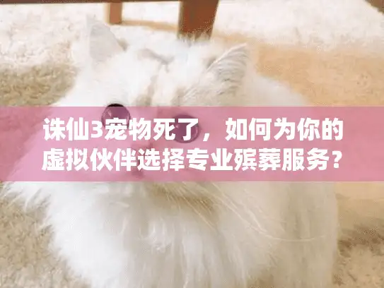 诛仙3宠物死了，如何为你的虚拟伙伴选择专业殡葬服务？