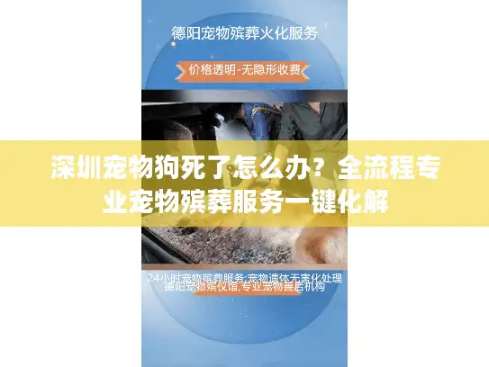 深圳宠物狗死了怎么办？全流程专业宠物殡葬服务一键化解