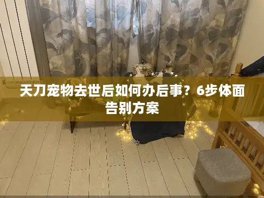 天刀宠物去世后如何办后事？6步体面告别方案
