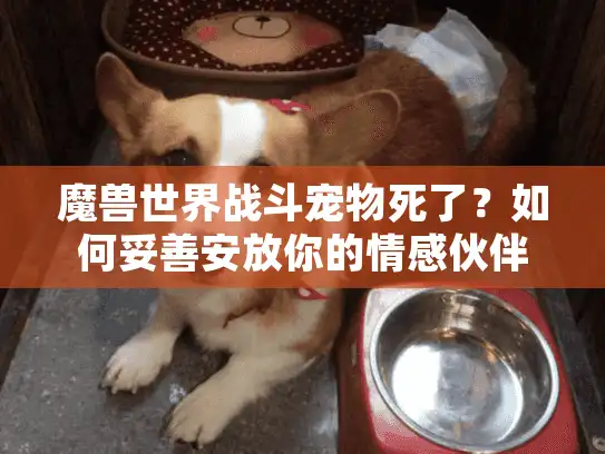 魔兽世界战斗宠物死了？如何妥善安放你的情感伙伴