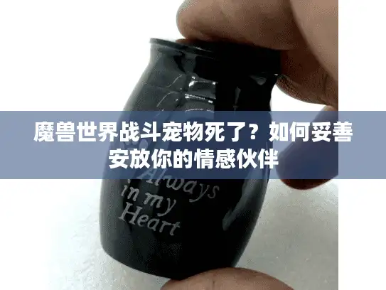 魔兽世界战斗宠物死了？如何妥善安放你的情感伙伴