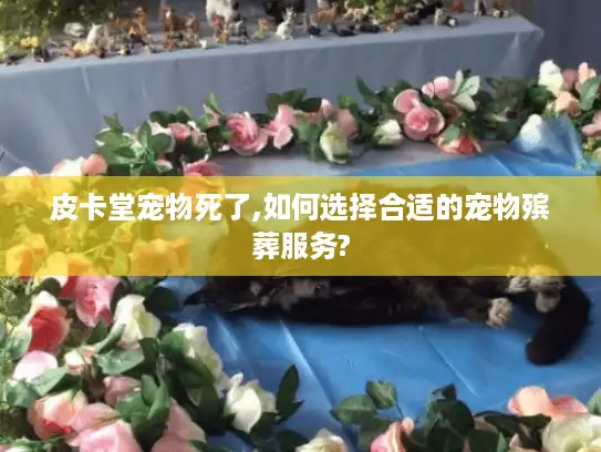 皮卡堂宠物死了,如何选择合适的宠物殡葬服务?