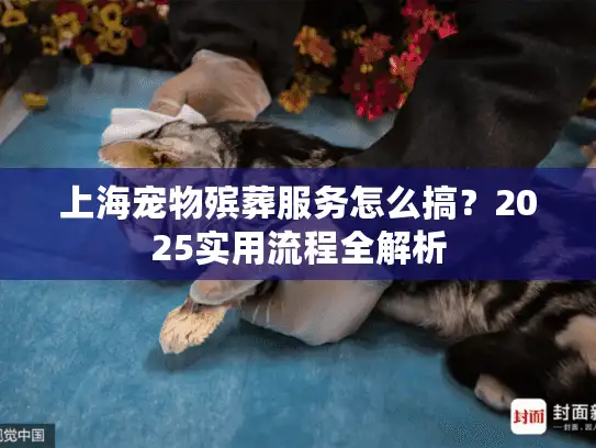 上海宠物殡葬服务怎么搞？2025实用流程全解析