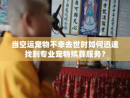 当空运宠物不幸去世时如何迅速找到专业宠物殡葬服务？