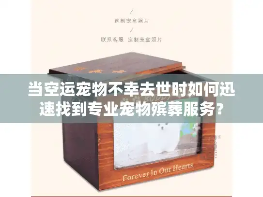 当空运宠物不幸去世时如何迅速找到专业宠物殡葬服务？