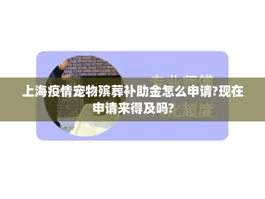 上海疫情宠物殡葬补助金怎么申请?现在申请来得及吗?