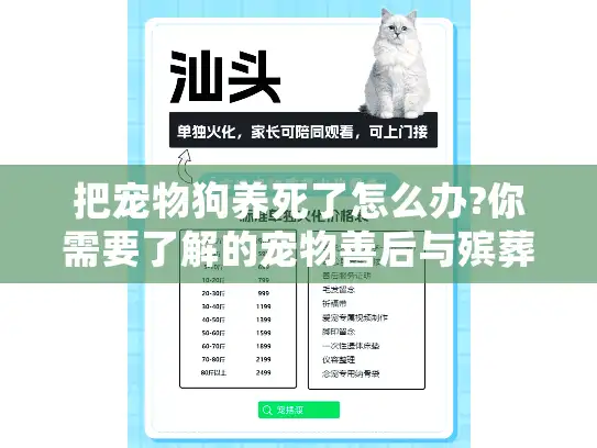 把宠物狗养死了怎么办?你需要了解的宠物善后与殡葬服务指南