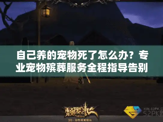 自己养的宠物死了怎么办？专业宠物殡葬服务全程指导告别爱宠