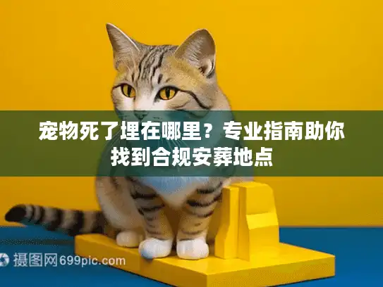 宠物死了埋在哪里？专业指南助你找到合规安葬地点