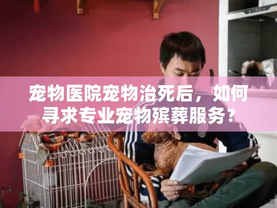 宠物医院宠物治死后，如何寻求专业宠物殡葬服务？