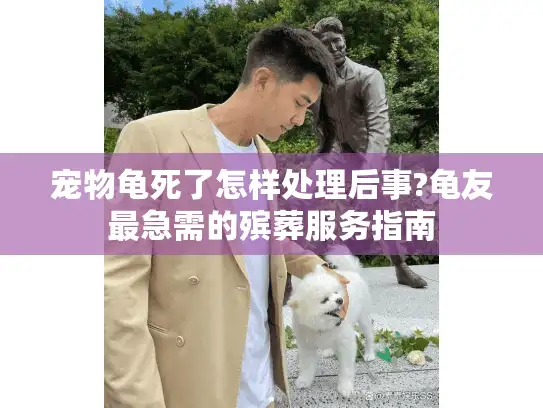 宠物龟死了怎样处理后事?龟友最急需的殡葬服务指南