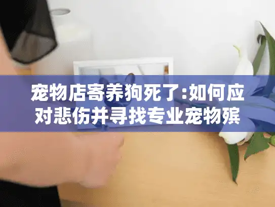 宠物店寄养狗死了:如何应对悲伤并寻找专业宠物殡葬服务