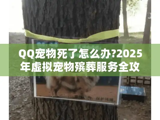 QQ宠物死了怎么办?2025年虚拟宠物殡葬服务全攻略