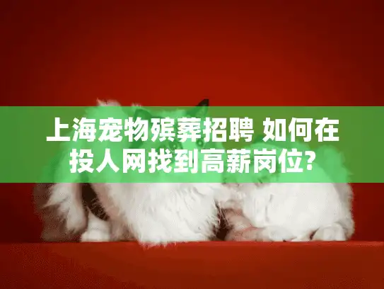 上海宠物殡葬招聘 如何在投人网找到高薪岗位?