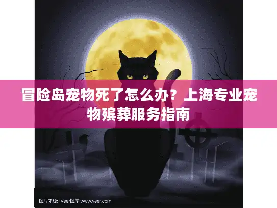 冒险岛宠物死了怎么办？上海专业宠物殡葬服务指南