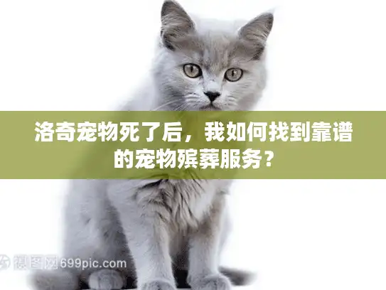 洛奇宠物死了后，我如何找到靠谱的宠物殡葬服务？