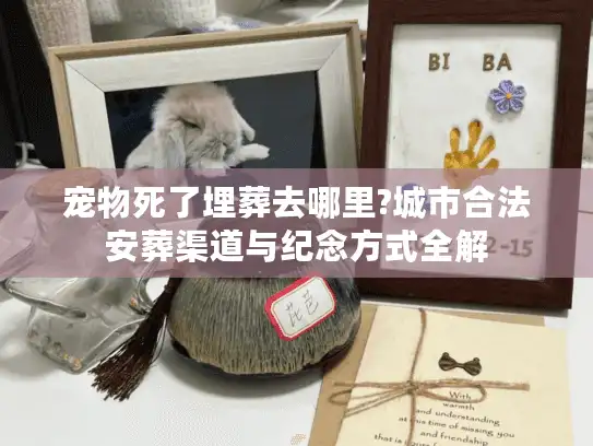 宠物死了埋葬去哪里?城市合法安葬渠道与纪念方式全解