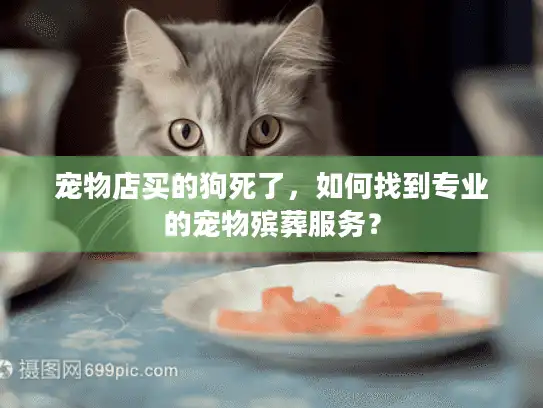 宠物店买的狗死了，如何找到专业的宠物殡葬服务？