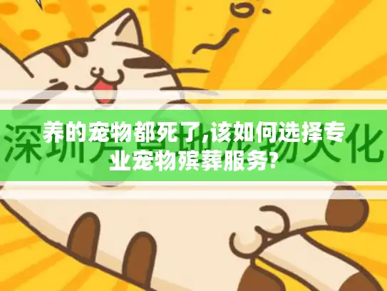 养的宠物都死了,该如何选择专业宠物殡葬服务?