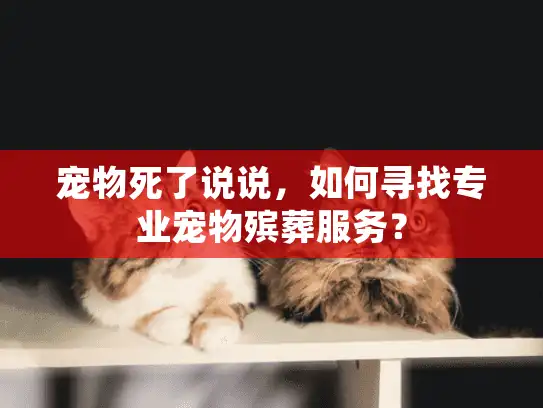宠物死了说说，如何寻找专业宠物殡葬服务？