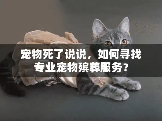 宠物死了说说，如何寻找专业宠物殡葬服务？
