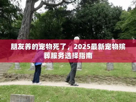 朋友养的宠物死了，2025最新宠物殡葬服务选择指南