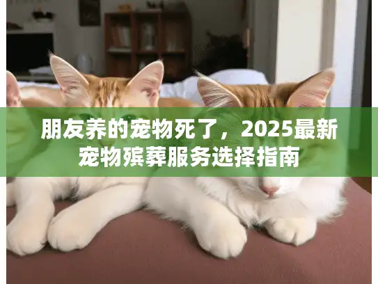 朋友养的宠物死了，2025最新宠物殡葬服务选择指南