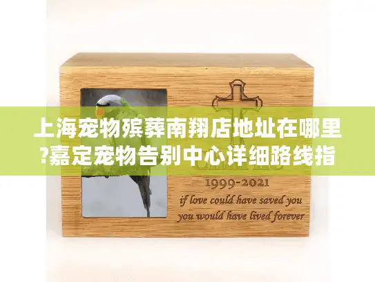 上海宠物殡葬南翔店地址在哪里?嘉定宠物告别中心详细路线指南