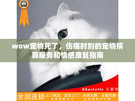 wow宠物死了，伤痛时刻的宠物殡葬服务和情感康复指南