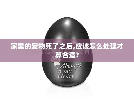 家里的宠物死了之后,应该怎么处理才算合适?