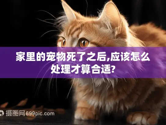 家里的宠物死了之后,应该怎么处理才算合适?