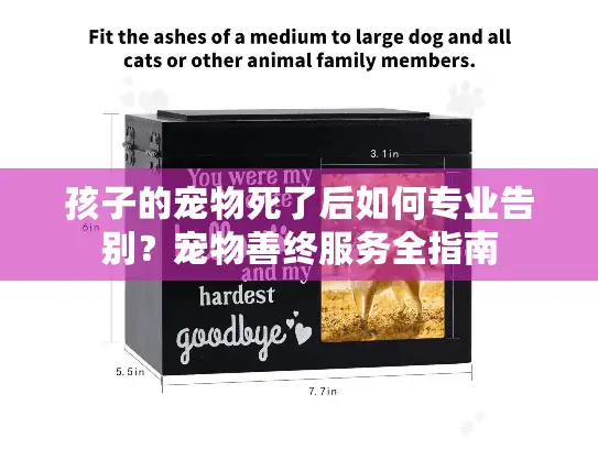 孩子的宠物死了后如何专业告别？宠物善终服务全指南