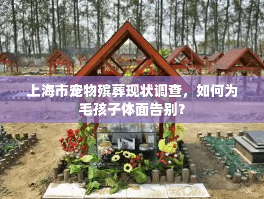 上海市宠物殡葬现状调查，如何为毛孩子体面告别？