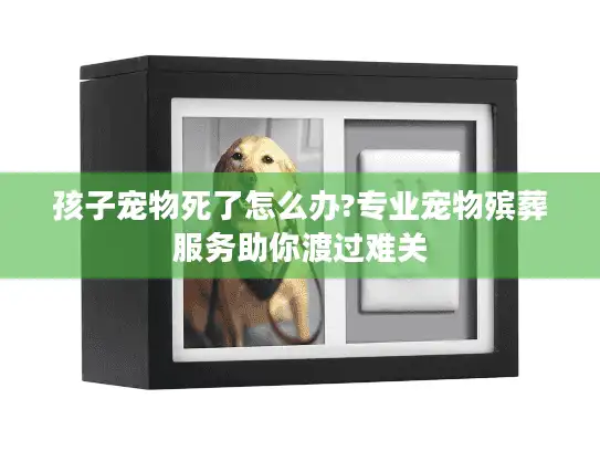 孩子宠物死了怎么办?专业宠物殡葬服务助你渡过难关