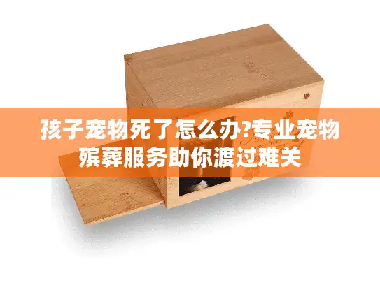 孩子宠物死了怎么办?专业宠物殡葬服务助你渡过难关