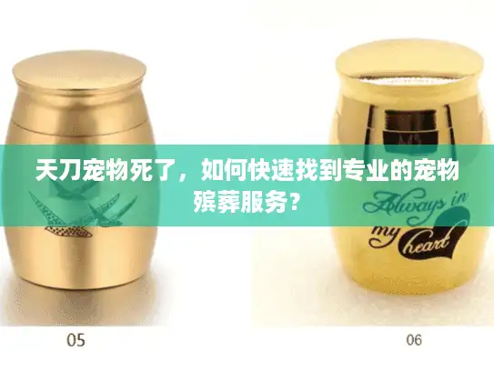 天刀宠物死了，如何快速找到专业的宠物殡葬服务？
