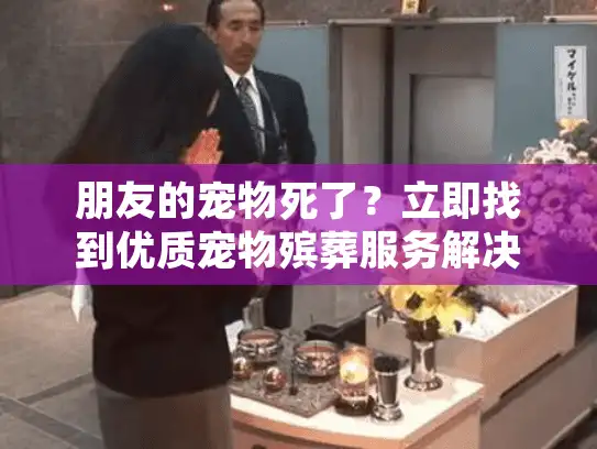 朋友的宠物死了？立即找到优质宠物殡葬服务解决方案指南
