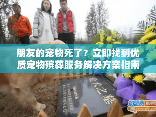 朋友的宠物死了？立即找到优质宠物殡葬服务解决方案指南