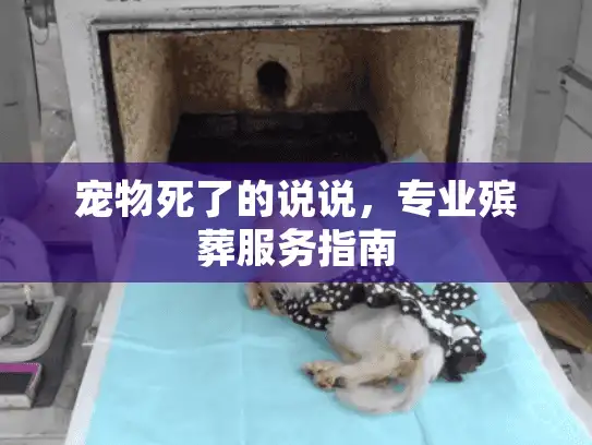 宠物死了的说说，专业殡葬服务指南