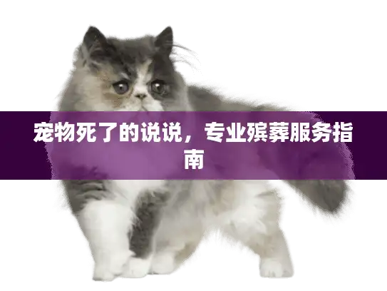 宠物死了的说说，专业殡葬服务指南