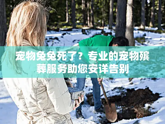 宠物兔兔死了？专业的宠物殡葬服务助您安详告别